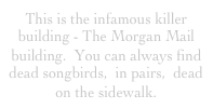 This is the infamous killer building - The Morgan Mail building.  You can always find dead songbirds,  in pairs,  dead on the sidewalk.