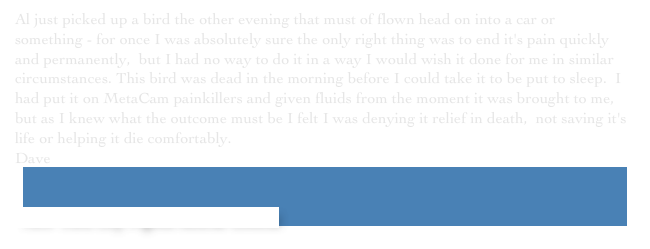 Al just picked up a bird the other evening that must of flown head on into a car or something - for once I was absolutely sure the only right thing was to end it's pain quickly and permanently,  but I had no way to do it in a way I would wish it done for me in similar circumstances. This bird was dead in the morning before I could take it to be put to sleep.  I had put it on MetaCam painkillers and given fluids from the moment it was brought to me, but as I knew what the outcome must be I felt I was denying it relief in death,  not saving it's life or helping it die comfortably.
￼Dave


 New York City Pigeon Rescue Central