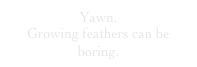 Yawn.
Growing feathers can be boring.